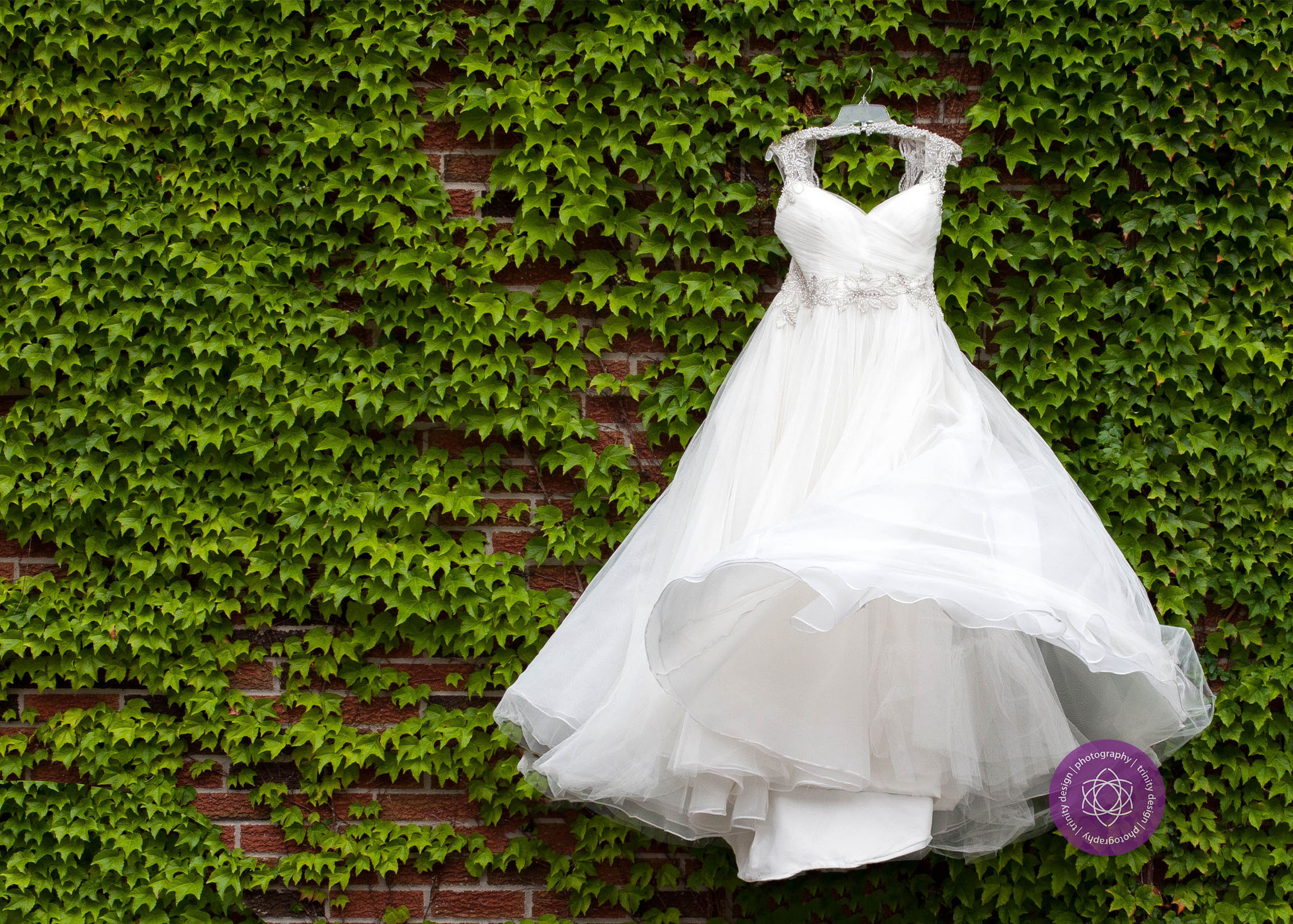 dress-wedding-ivy-wall-2016